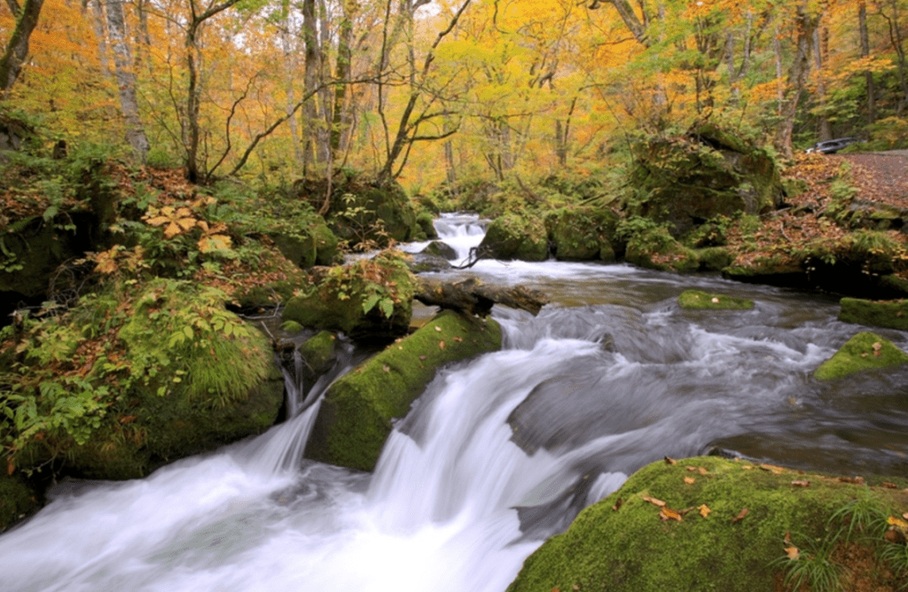 【2024奧入瀨溪流】| 交通詳解 &星野飯店訂房攻略，注意事項懶人包