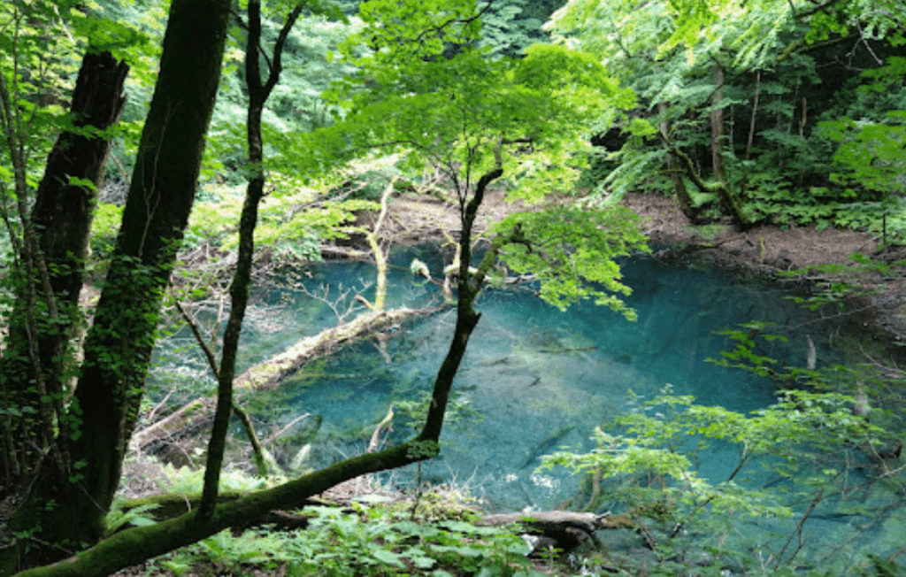 【2024日本東北青森】| 自助必看：旅遊景點分類&最佳旅遊月份，交通與注意事項總整理