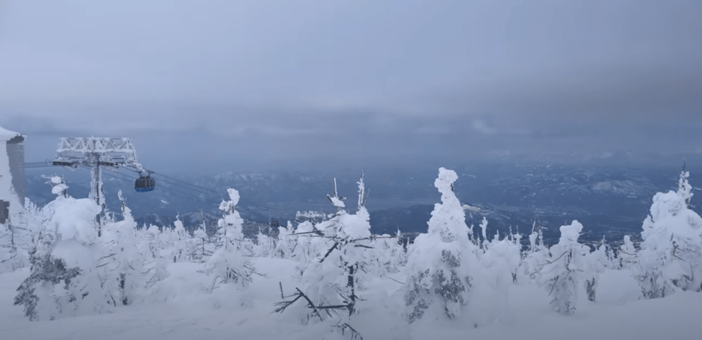 【日本東北冬季自由行】|行程天數建議&十大雪景和溫泉，交通氣溫總整理