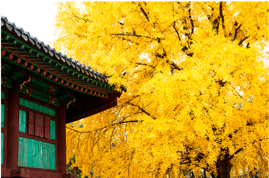 【2024首爾自由行攻略】| 帶男友去就這樣玩！男生必看！景點、住宿、行程與交通全包