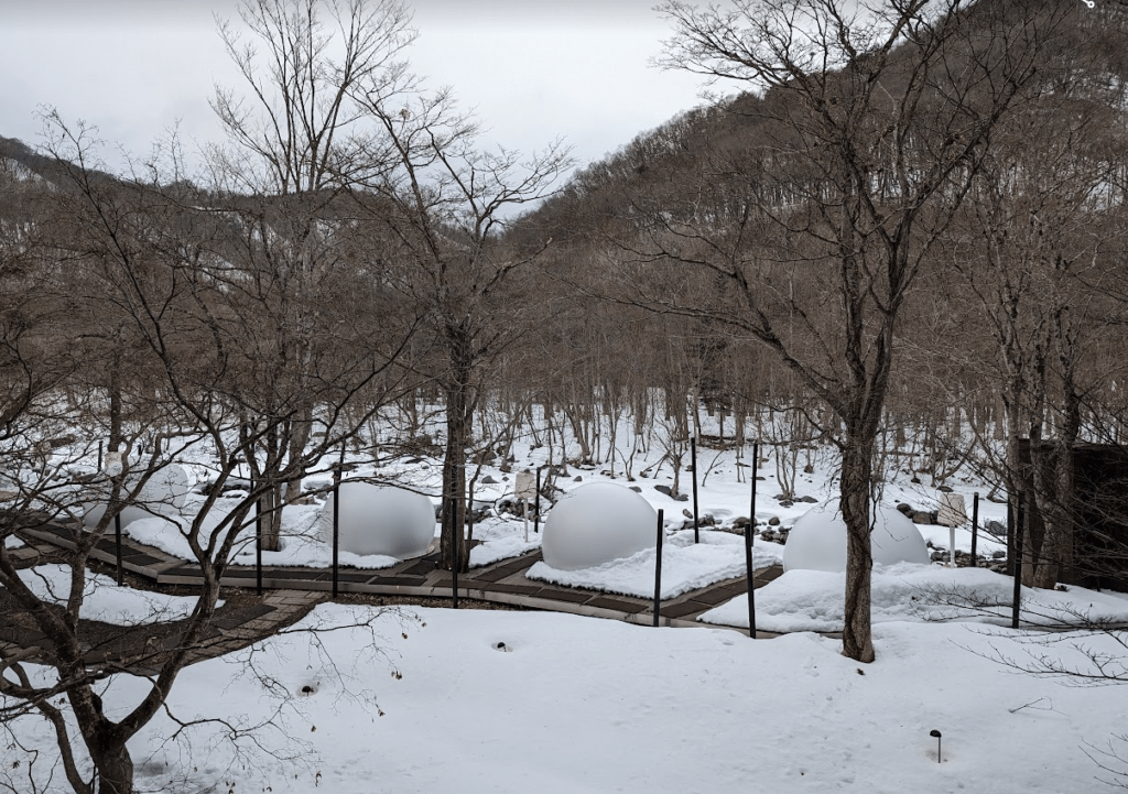 【2025奧入瀨溪流星野住宿】| 交通接駁：巴士預約&JRPASS使用，看下雪秘境。