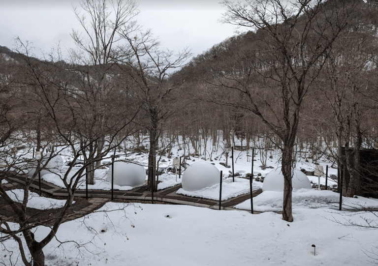 螢幕擷取畫面 2024-11-23 235620