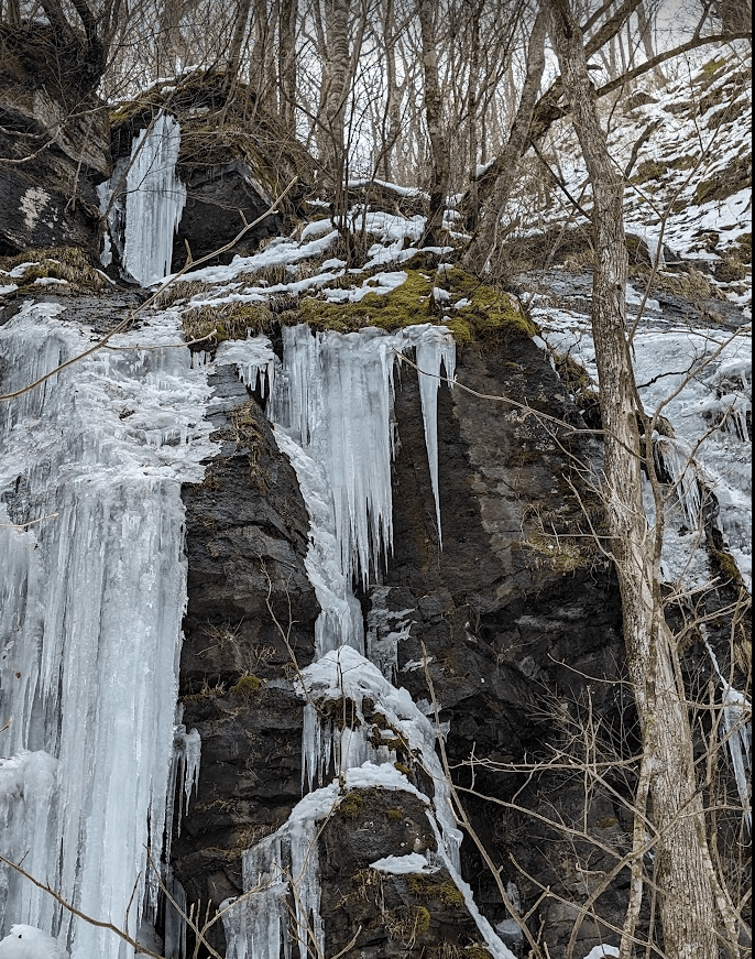 【2024奧入瀨溪流】| 交通詳解 &星野飯店訂房攻略，注意事項懶人包