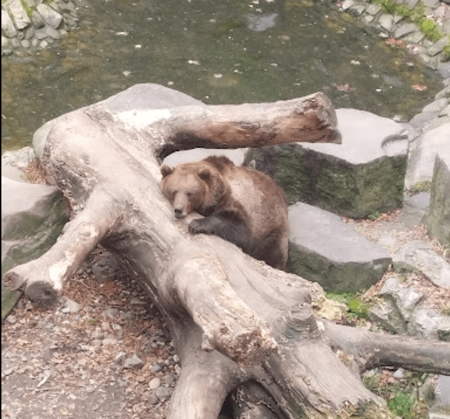 【捷克CK小鎮攻略】| 自助必看：1日&2日行程搭配景點地圖，沒導覽團也輕鬆玩