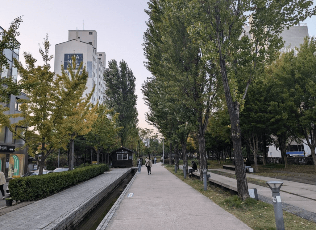 【首爾弘大逛街攻略】| 男生必看：5大必逛品牌/歐巴剪髮/豪邁必吃，帶男友就看這篇！