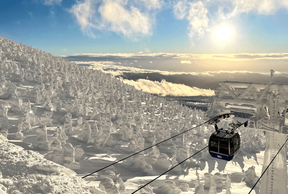 【2025藏王樹冰點燈攻略】| 最詳細票券運用&交通圖解，行程注意事項看絕美雪怪