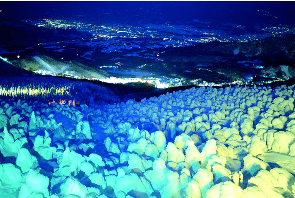 【2025藏王樹冰點燈攻略】| 最詳細票券運用&交通圖解，行程注意事項看絕美雪怪