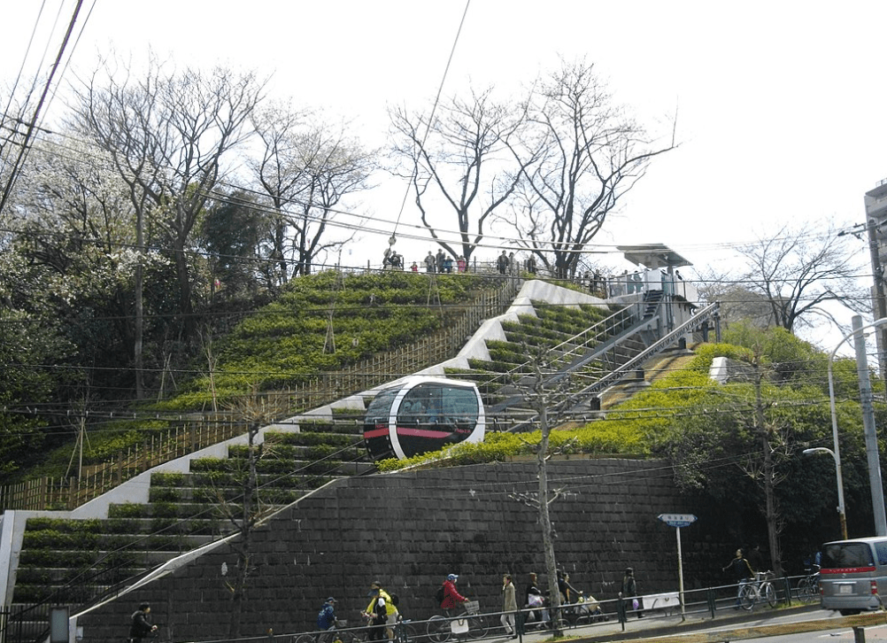 2025東京賞櫻攻略】|3/23開花&3/31開滿，東京賞櫻5大熱門地點&2大私房行程