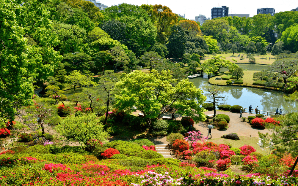 2025東京賞櫻攻略】|3/23開花&3/31開滿，東京賞櫻5大熱門地點&2大私房行程