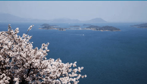 【2025瀨戶內海藝術季攻略】|早鳥票：APP買票流程&票價&展覽範圍，三大島必看重點