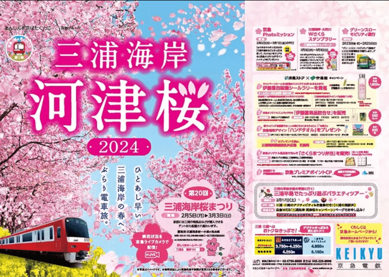 (1/24更新)【2025日本賞櫻攻略】|開花滿花預測表：3大櫻花前線&Top5票選賞櫻景點