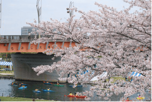 (1/24更新)【2025日本賞櫻攻略】|開花滿花預測表：3大櫻花前線&Top5票選賞櫻景點