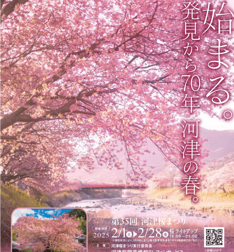 (1/24更新)【2025日本賞櫻攻略】|開花滿花預測表：3大櫻花前線&Top5票選賞櫻景點
