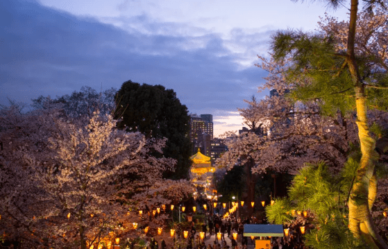 2025東京賞櫻攻略】|3/23開花&3/31開滿，東京賞櫻5大熱門地點&2大私房行程