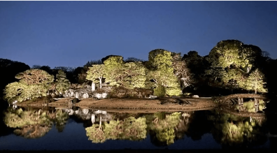 2025東京賞櫻攻略】|3/23開花&3/31開滿，東京賞櫻5大熱門地點&2大私房行程