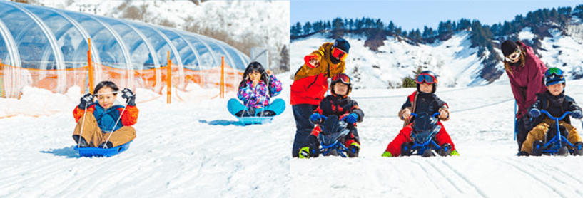 【2025越後湯則滑雪攻略】|初學者如何挑：只學半天滑雪的我，超喜歡這些滑雪場