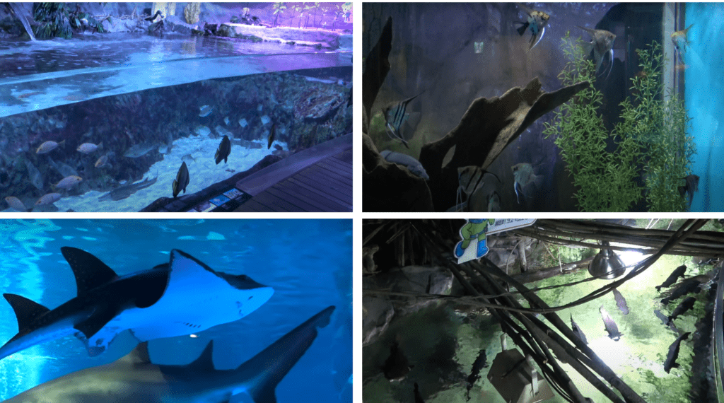 【2025首爾江南購物攻略】|潮牌地圖 ：圖解江南必逛必買品牌&購物路線