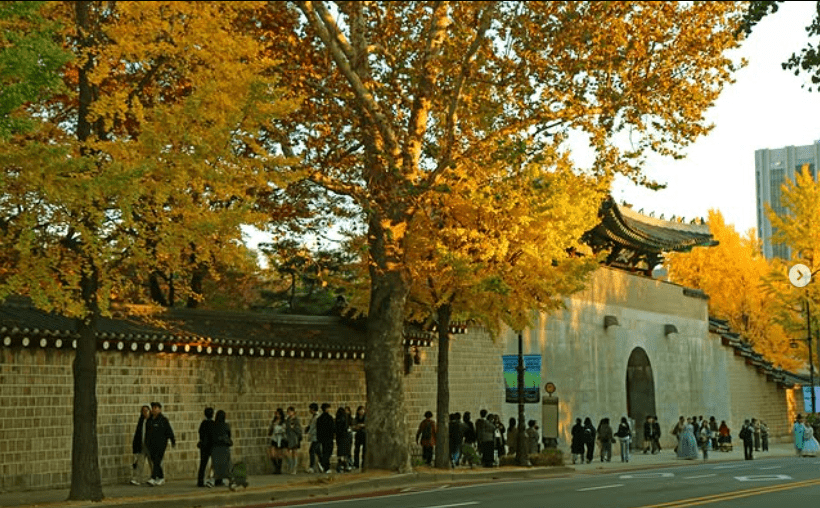 【2025景福宮攻略】|景點地圖：如何參觀路線與男女韓裝建議，拍出大片