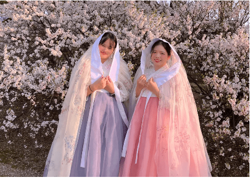 【2025景福宮攻略】|景點地圖：如何參觀路線與男女韓裝建議，拍出大片