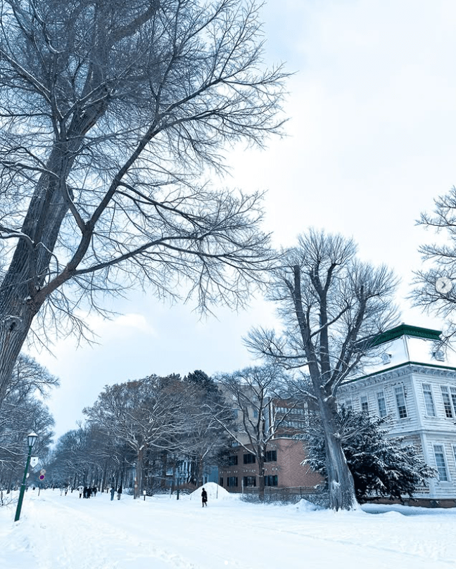 【2025札幌市區攻略】| 景點地圖
3大主題&18景點，如何玩札幌就看這篇！
