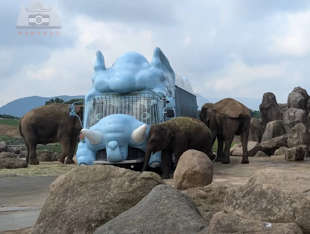 【2025九州自然動物園攻略】 | 自駕隱藏玩法：門票套票、叢林巴士預約