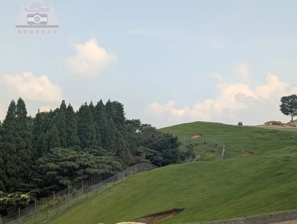 【2025九州自然動物園攻略】 | 自駕隱藏玩法：門票套票、叢林巴士預約