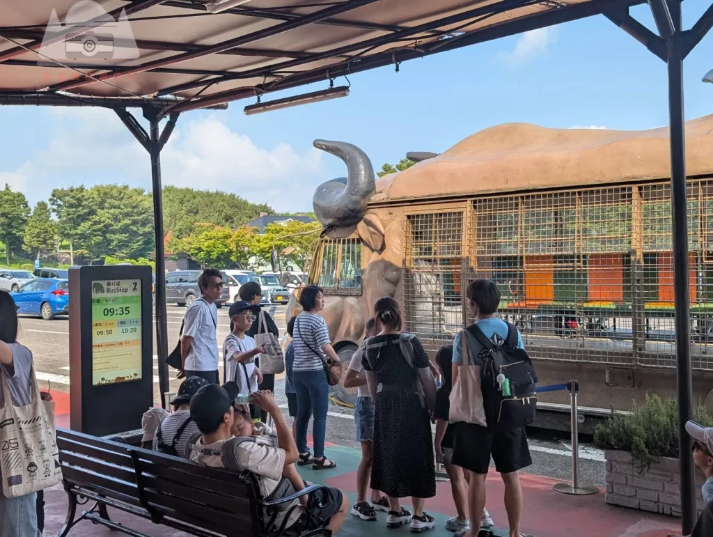 【2025九州自然動物園攻略】 | 自駕隱藏玩法：門票套票、叢林巴士預約