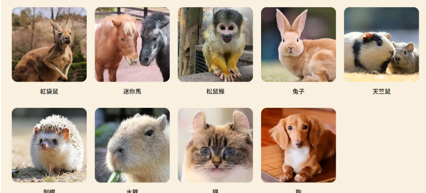 【2025九州自然動物園攻略】 | 自駕隱藏玩法：門票套票、叢林巴士預約